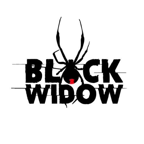 BLACK WIDOW - 100ML | WHOLESALE & BULK BUY